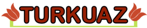 Turkuaz Takeaway Logo